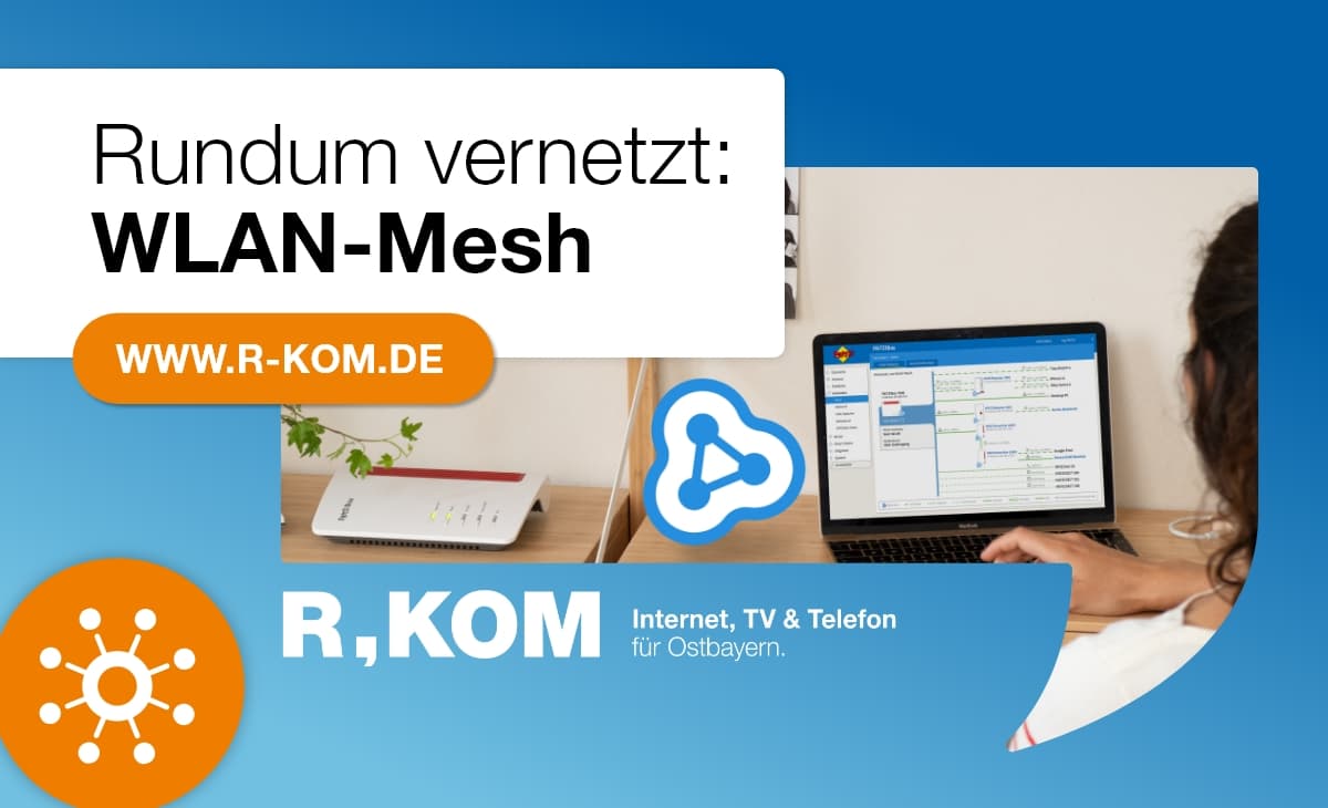 WLAN-Mesh